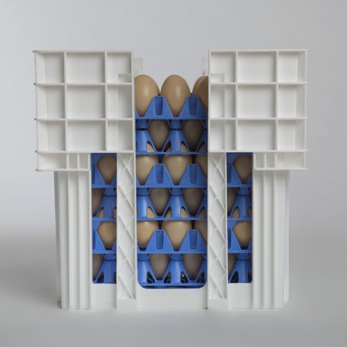 运输用蛋箱 - EggsCargoSystem&reg; - GI-OVO B.V. - 鸡蛋 / 塑料