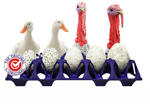 运输用蛋用托盘 - EggsCargoSystem® XL - GI-OVO B.V. - 火鸡蛋 / 鸭蛋 / 鹅蛋