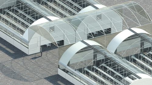 连栋温室 - Omega Houses - Osprey Tunnels Ltd - 塑料