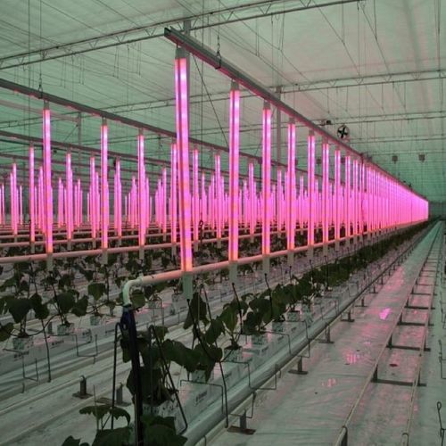 温室照明系统 - Osprey Tunnels Ltd - 垂直种植系统 / LED式 / 用于室内