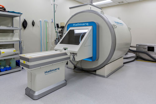 动物核磁共振成像系统 / 家畜 - Hallmarq Veterinary Imaging - 高场