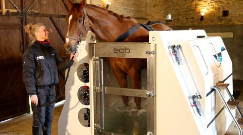 冷水马用spa水疗 - PREMIER SPA - ECB Equine Spa - 热水 / 盐水
