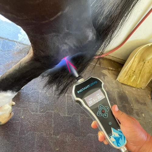 燃气动物冷冻治疗仪 - INSTANTCRYO ™ - ECB Equine Spa - 马