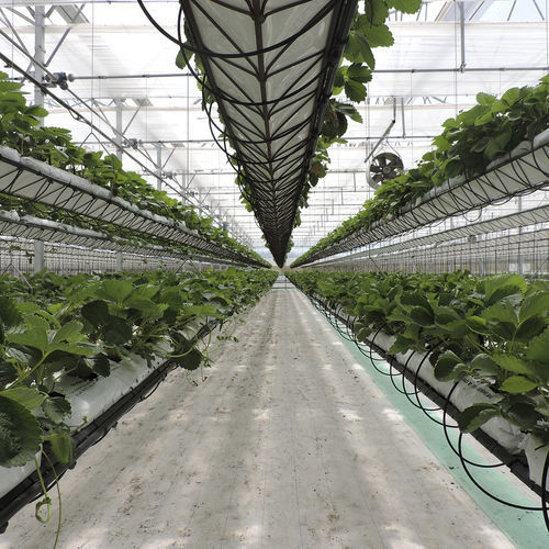 无土栽培系统 J Huete