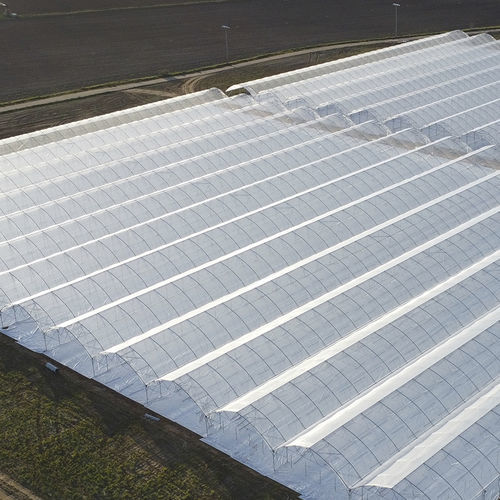 隧道式温室 - Berryfesta - J. Huete Greenhouses - 塑料 / 带排水沟