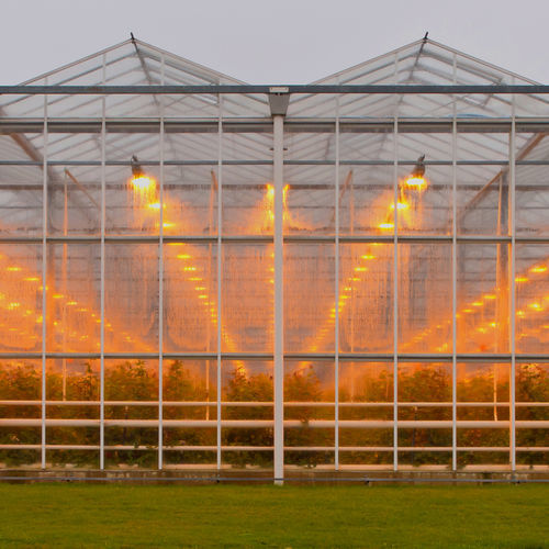 玻璃温室 - J. Huete Greenhouses - 隧道式 / 用于困难天气条件
