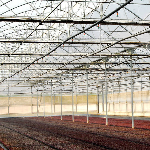 苗木温室 - J. Huete Greenhouses - 隧道式 / 玻璃