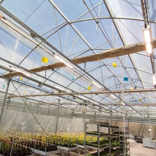 温室照明系统 - J. Huete Greenhouses - LED式