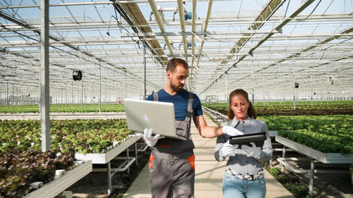 照明控制系统 - J. Huete Greenhouses - 温室 / 用于灌溉 / 温度