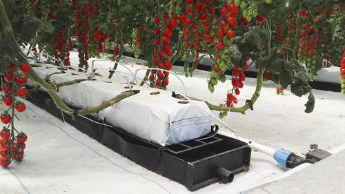 聚丙烯排水沟 - J. Huete Greenhouses