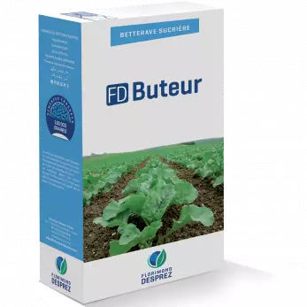 糖料甜菜种子 - FD Buteur - Florimond Desprez - 抗丛根病 / 抗线虫病