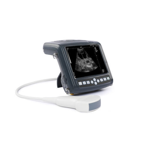 手持式兽用超声诊断仪 - KX5200 - Xuzhou Kaixin Electronic Instrument Co., Ltd - 牛 / 马科动物 / 羊用