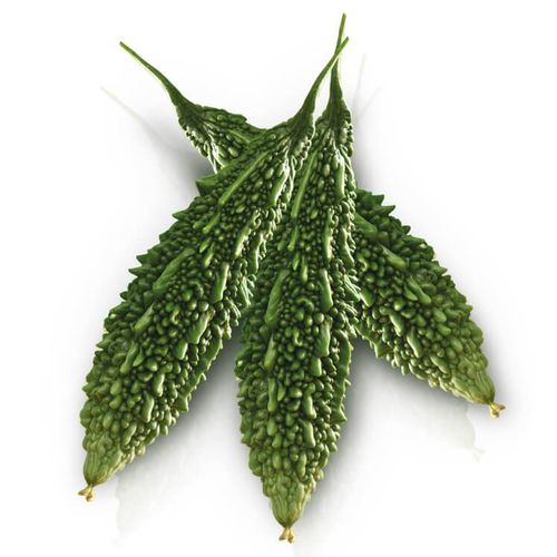 早熟南瓜种子 - Wasima F1 - eastwestseed - 花叶病抗性 / 混合动力