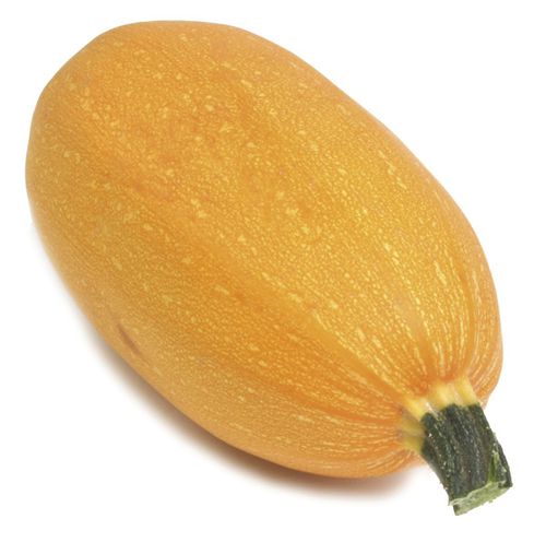 早熟南瓜种子 - Orangetti - Origene seed - 混合动力