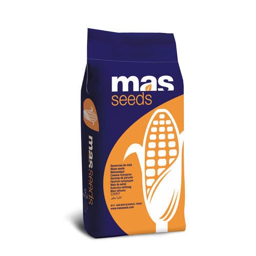 极早熟玉米种子 - MAS 075B - Mas Seeds - 青贮 / 抗长蠕孢菌病 / 抗镰刀菌