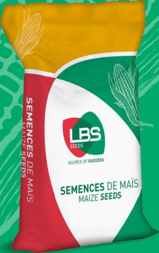 晚熟玉米种子 - LBS 5257 - lbs-seeds - 谷物 / 马齿玉米