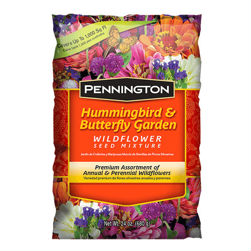 一年生花种子 - HUMMINGBIRD - pennington - 多年生 / 混色 / 用于花园