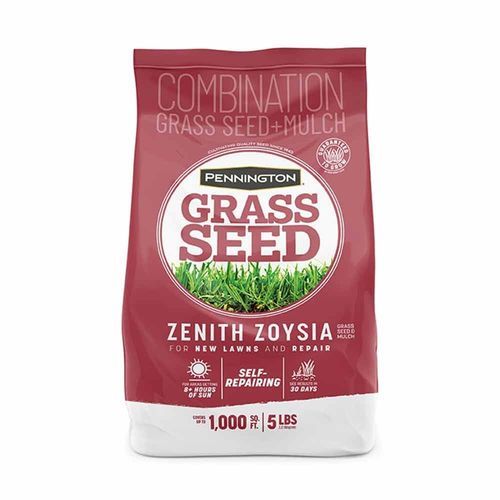 草坪种子 - ZENITH ZOYSIA - pennington