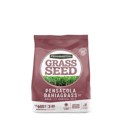 草坪种子 - PENSACOLA BAHIAGRASS - pennington