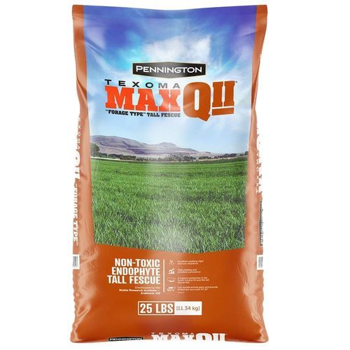 羊茅动物饲料 - TEXOMA MAXQ II  - pennington - 用于饲料 / 牛