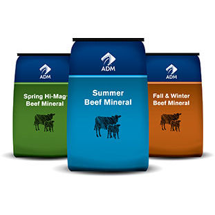 动物饲料补充剂 - Seasonal Fescue - admanimalnutrition - 牛 / 钙 / 磷