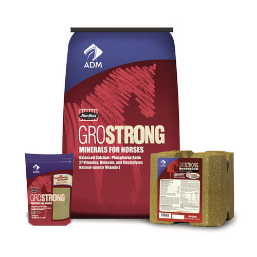 马舔盐块 - GROSTRONG Precise Minerals QuadBLOCK - admanimalnutrition - 微量元素 / 微量元素 / 维生素