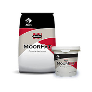 动物饲料补充剂 - MoorFat™ - admanimalnutrition - 母猪 / 蛋白质 / 脂肪