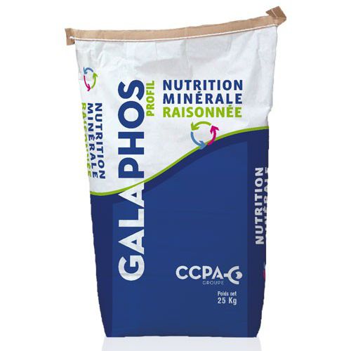 动物饲料补充剂 - GALAPHOS® AXION® START - deltavit - 牛 / 矿物质 / 干式