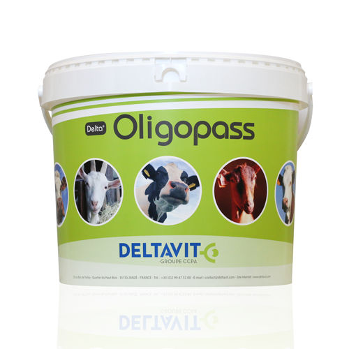 动物饲料补充剂 - Delta® OLIGOPASS® - deltavit - 带仔母牛 / 山羊 / 矿物质