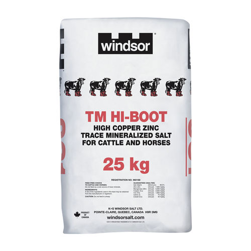 动物饲料补充剂 - 0961 - windsorsalt - 牛 / 马用 / 矿物质
