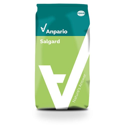 粉末饲料添加剂 - Salgard - Anpario/安彭利 - 酸化剂 / 生长促进剂 / 家禽