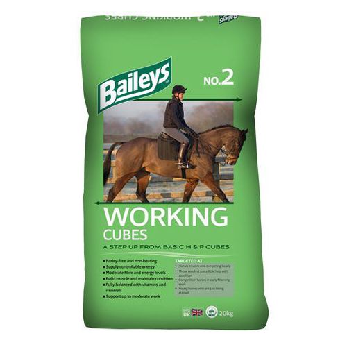 动物饲料补充剂 - WORKING CUBES - baileyshorsefeeds - 马用 / 矿物质 / 维生素
