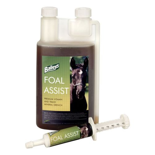 动物饲料补充剂 - FOAL ASSIST - baileyshorsefeeds - 马用 / 矿物质 / 维生素