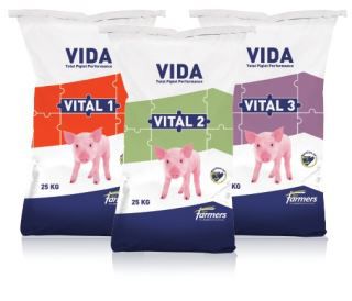 动物营养补充剂 - VITAL series - forfarmers - 猪崽 / 锌 / 益生元