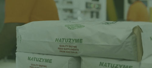 酶饲料添加剂 - Natuzyme - Adnimalis - 家禽 / 牛 / 干式