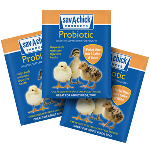 动物饲料补充剂 - Sav-A-Chick® Probiotic Supplement - savacaf - 家禽 / 含有酵母 / 粉末