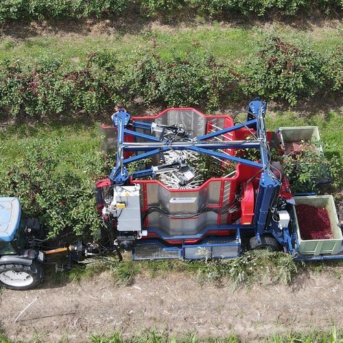 橄榄收割机 - 300A - JAGODA JPS Agromachines - 李子 / 酸樱桃 / 榛子