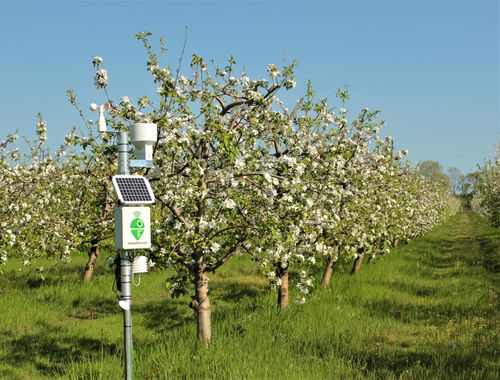 风速田间气象站 - Meteobot® Pro - Prointegra Ltd. - 相对湿度 / 风向 / 降水