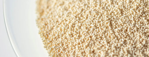 酶饲料添加剂 - Natuphos® E series - nutrition.basf - 猪 / 家禽 / 干式