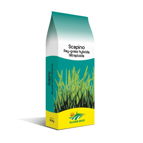 黑麦草动物饲料 - Scapino - eliard-spcp - 用于饲料 / 耐寒 / 混合动力