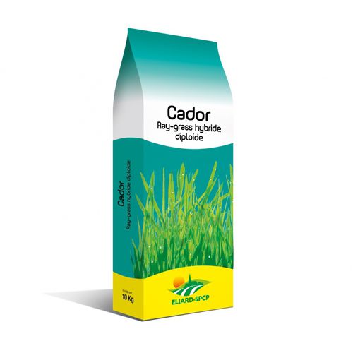 黑麦草动物饲料 - Cador - eliard-spcp - 用于饲料 / 混合动力