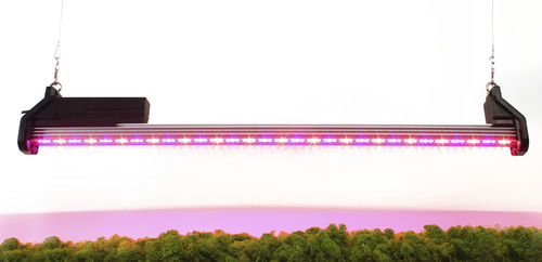 温室灯具 - Spectra RED - Agroled - LED式 / 红色