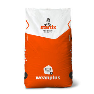 生长促进剂饲料添加剂 - Weanplus - startix - 猪 / 液体