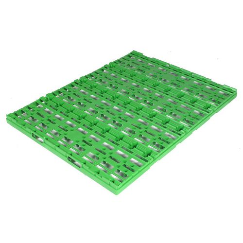 分隔孵化蛋盘 - ecoplasticsystem - 鸡蛋 / 塑料