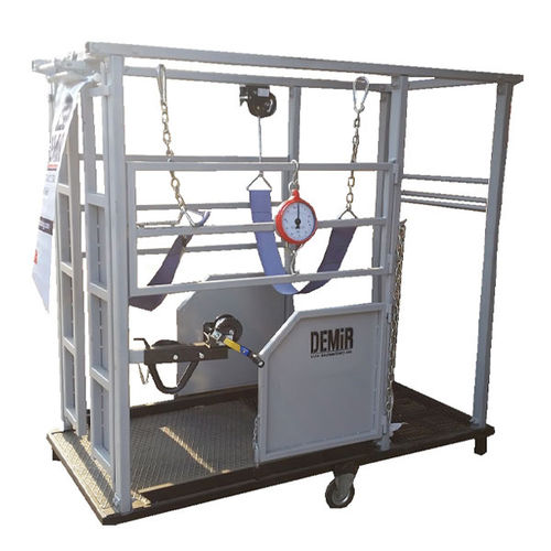 牛保定架 - DEMIR PACKING AND AGRICULTURAL MACHINERY - 修蹄 / 移动式 / 带有称重装置