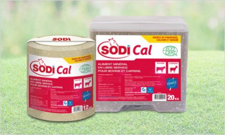 牛舔盐块 - SodiCal - salins-agri - 微量元素 / 镁 / 磷