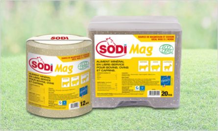 牛舔盐块 - SodiMag - salins-agri - 羊用 / 山羊 / 镁