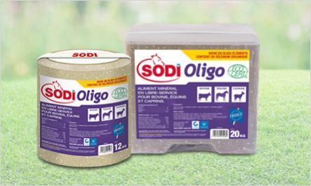 牛舔盐块 - SodiOligo - salins-agri - 山羊 / 马 / 微量元素