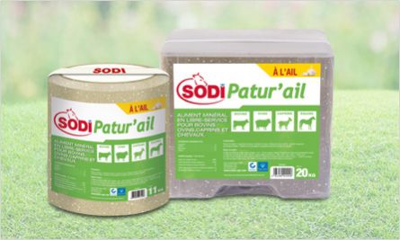 牛舔盐块 - SodiPatur'ail - salins-agri - 山羊 / 羊用 / 马