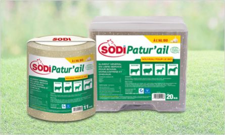 牛舔盐块 - SodiPatur'ail Ecocert - salins-agri - 山羊 / 羊用 / 马